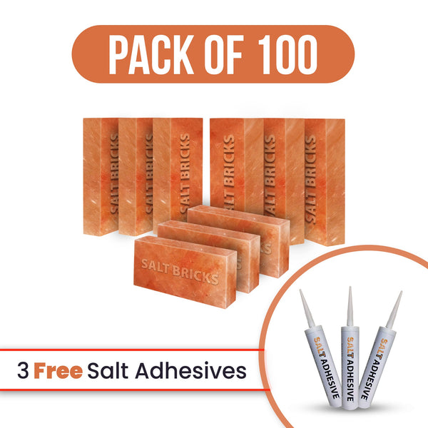 salt bricks 100 with free salt adhesive