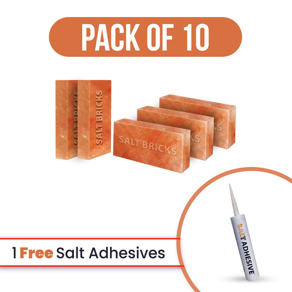 salt bricks 10 with free salt adhesive