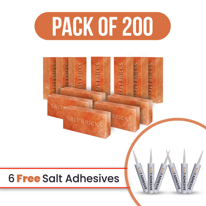 Salt bricks 200 with free salt adhesive