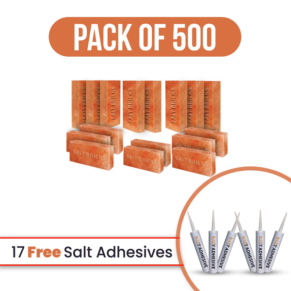 Salt bricks 500 with free salt adhesive