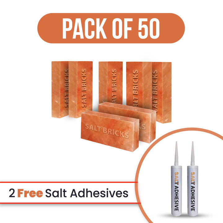 salt bricks pack of 50 with free salt adhesive