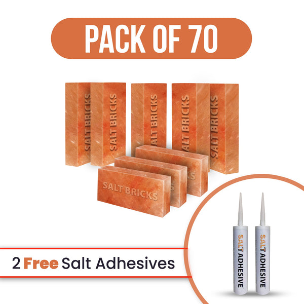 salt bricks 70 with free salt adhesive