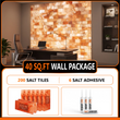 Build 40 sq. ft. Salt Wall (200 Himalayan Salt Tiles 8" x 4" x 1" and 6 Salt Adhesives) Build Salt Wall
