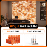Build 40 sq. ft. Salt Wall (200 Himalayan Salt Tiles 8" x 4" x 1" and 6 Salt Adhesives) Build Salt Wall