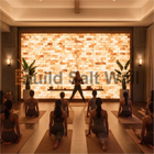 Group Yoga Studio Class in Front of Large Illuminated Himalayan Pink Salt Brick Feature Wall