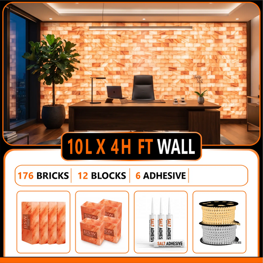 Himalayan Salt Bricks Wall Pack  (10L × 4H 