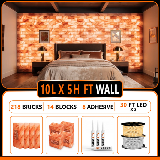 Himalayan Salt Bricks Wall Pack  (10L× 5H 