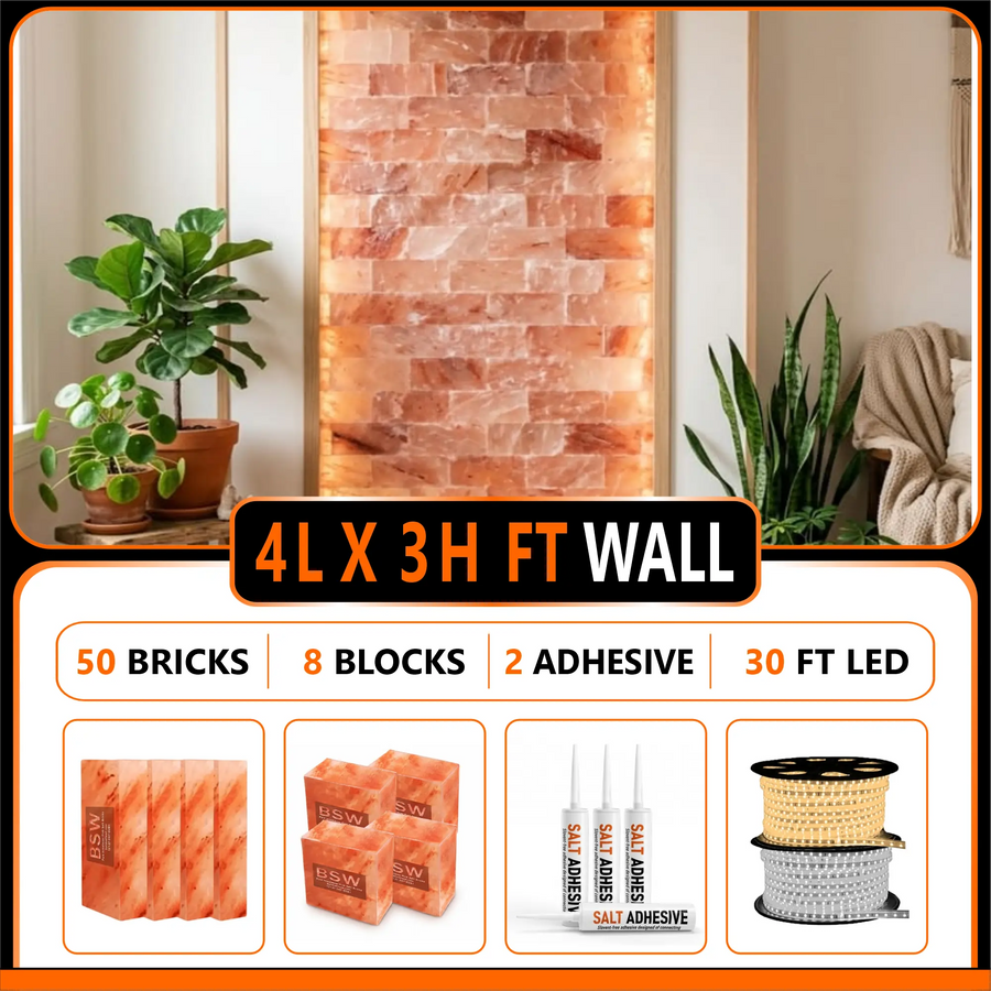 Himalayan Salt Bricks Wall Pack  (4L × 3H