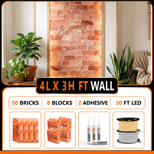 Himalayan Salt Bricks Wall Pack  (4L × 3H