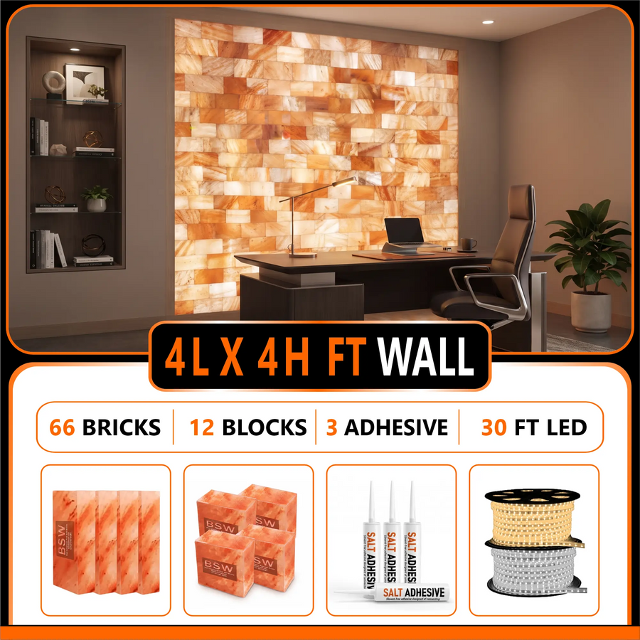 Himalayan Salt Bricks Wall Pack  (4L × 4H 