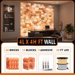 Himalayan Salt Bricks Wall Pack  (4L × 4H 
