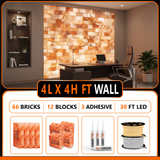 Himalayan Salt Bricks Wall Pack  (4L × 4H 