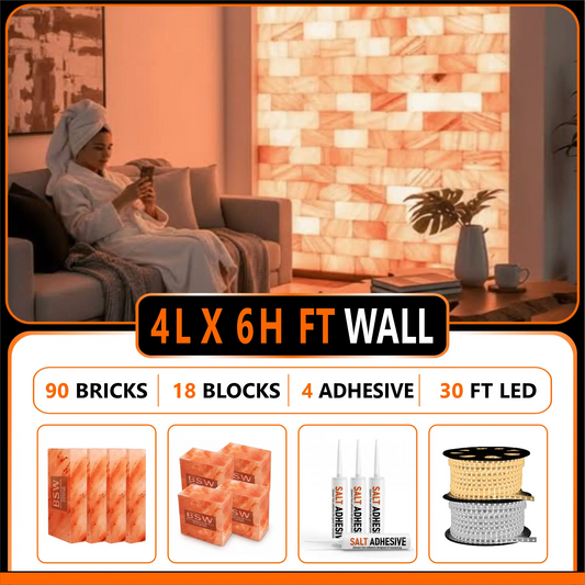 Himalayan Salt Bricks Wall Pack  (4ft × 6ft 
