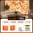 Himalayan Salt Bricks Wall Pack  (5L × 4H 