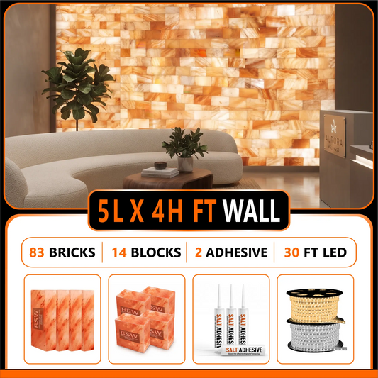 Himalayan Salt Bricks Wall Pack  (5L × 4H 
