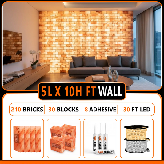 Himalayan Salt Bricks Wall Pack  (5ft × 10ft