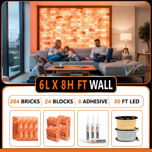 Himalayan Salt Bricks Wall Pack  (6L × 8H 