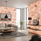 Himalayan pink salt bricks walls