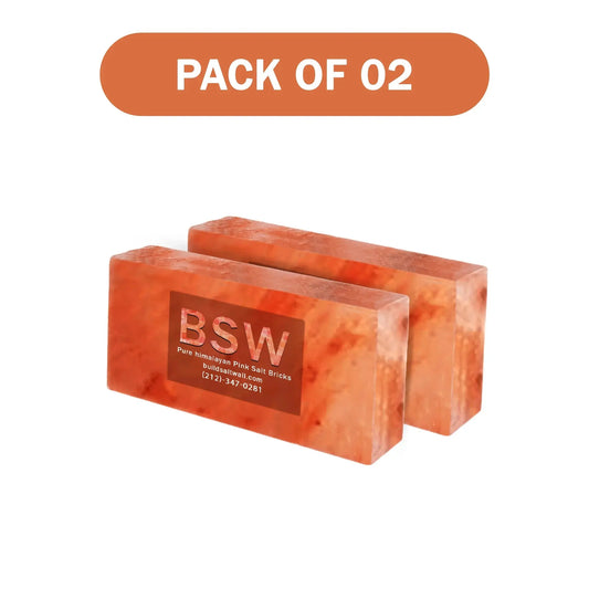 Himalayan salt bricks pack of 2