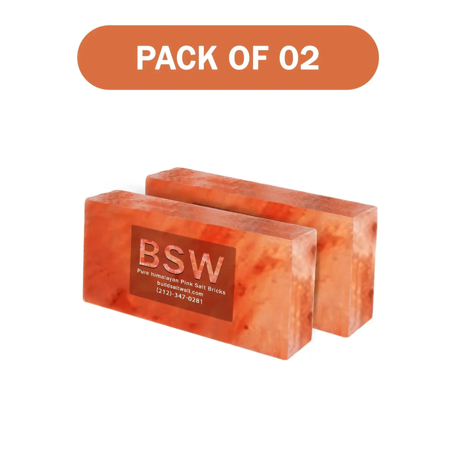 Himalayan salt bricks pack of 2
