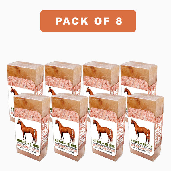 Animal Salt Lick pack of 8