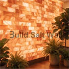 Illuminated Himalayan Salt Brick Wall with Indoor Green Plants in Wellness Space