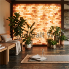 Indoor Wellness and Yoga Room with Backlit Himalayan Salt Wall and Potted Plants