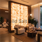 Luxury Spa Lounge with Large Backlit Himalayan Salt Brick Partition Wall