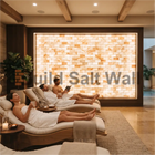 Luxury Spa Wellness Lounge with Large Backlit Himalayan Pink Salt Brick Feature Wall