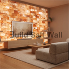 Modern Living Room Media Wall Featuring TV Mounted on Backlit Himalayan Pink Salt Bricks