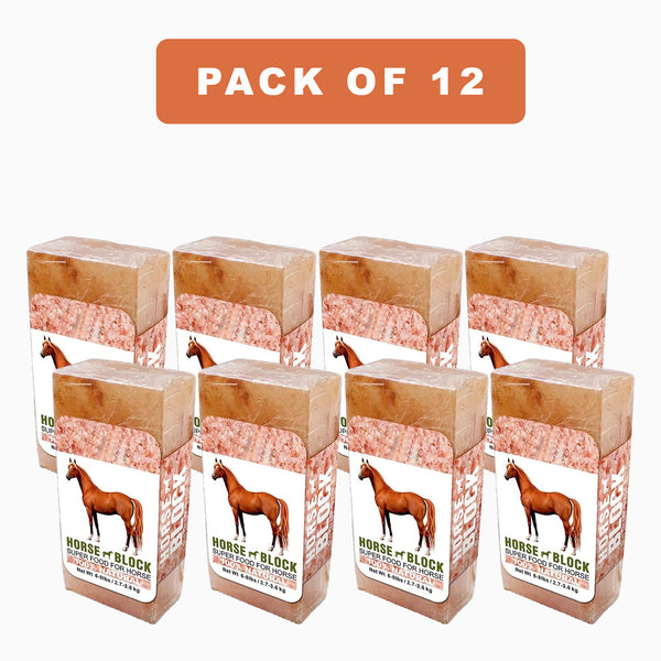 Animal Salt Lick pack of 12