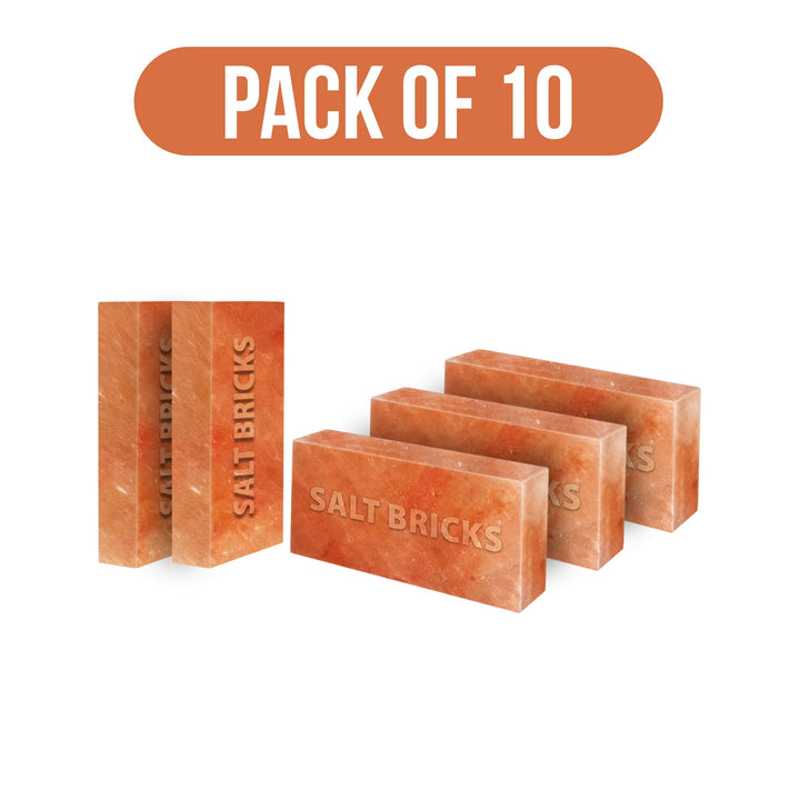 salt bricks pack of 10