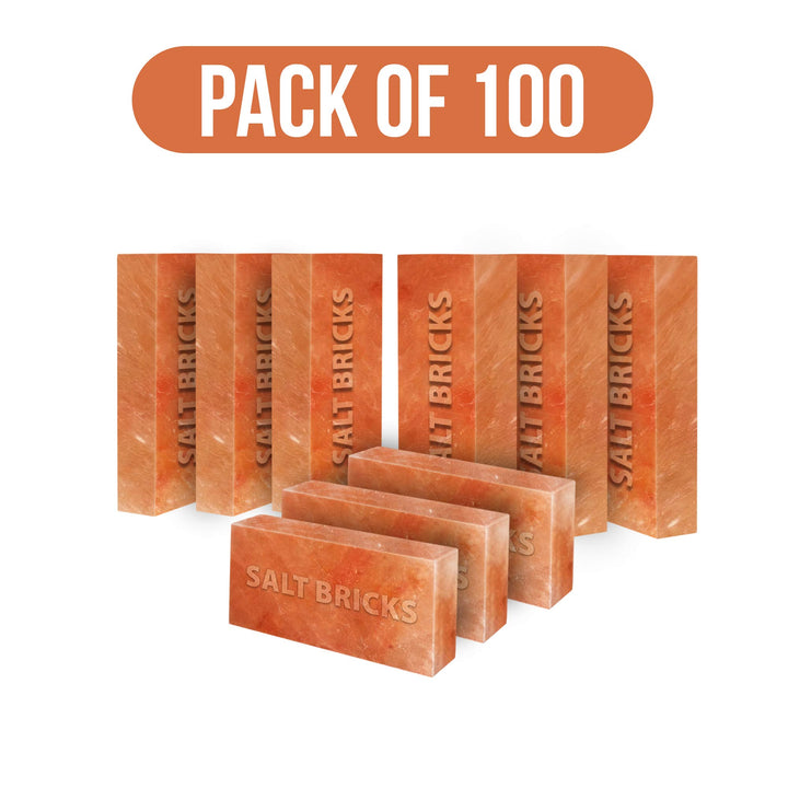 Salt bricks pack of 100