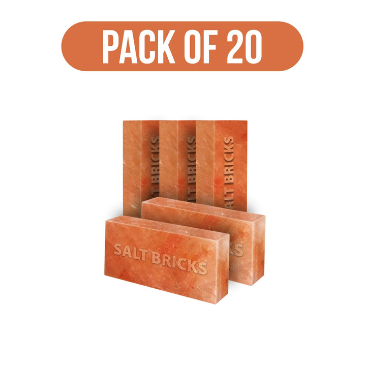 salt bricks pack of 20