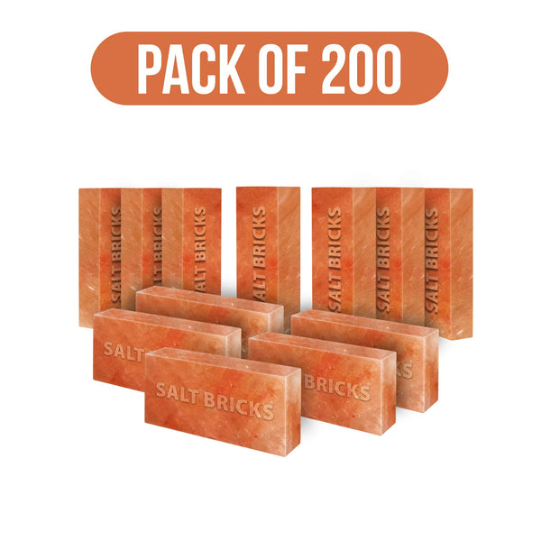 salt bricks pack of 200