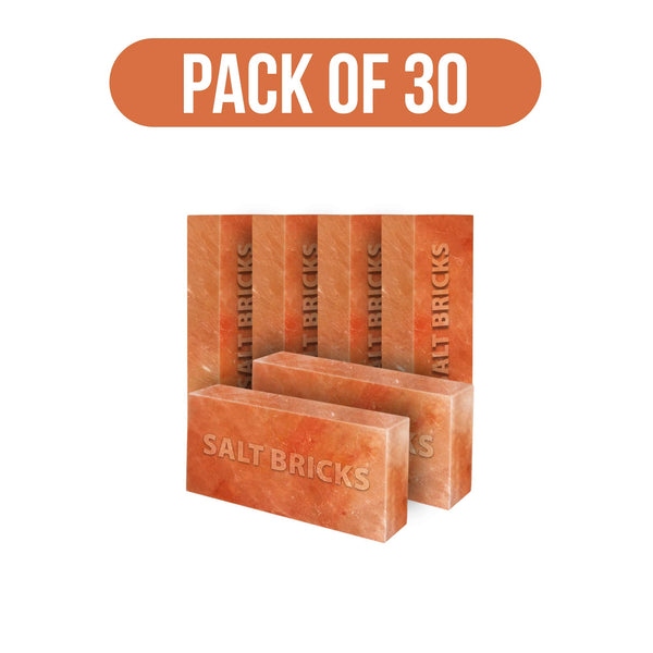 salt bricks pack of 30