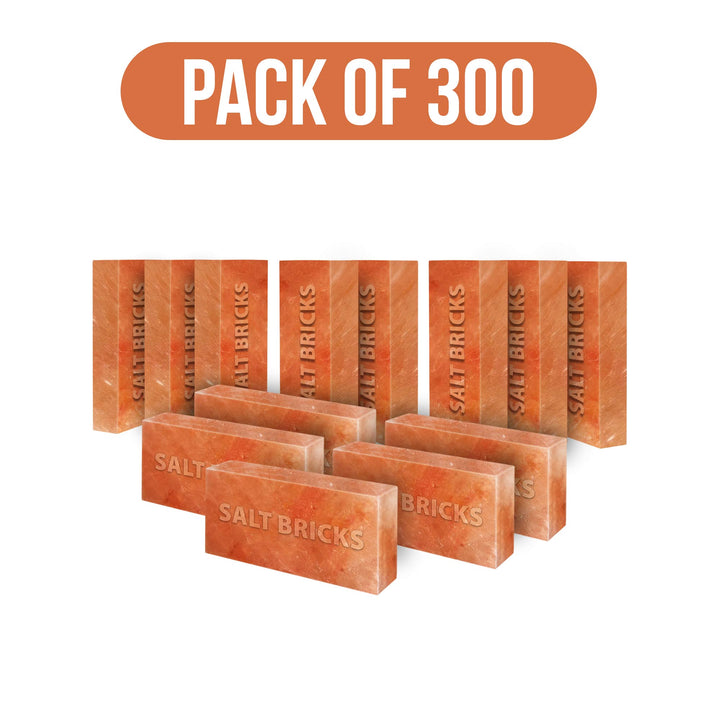 salt bricks Pack of 300