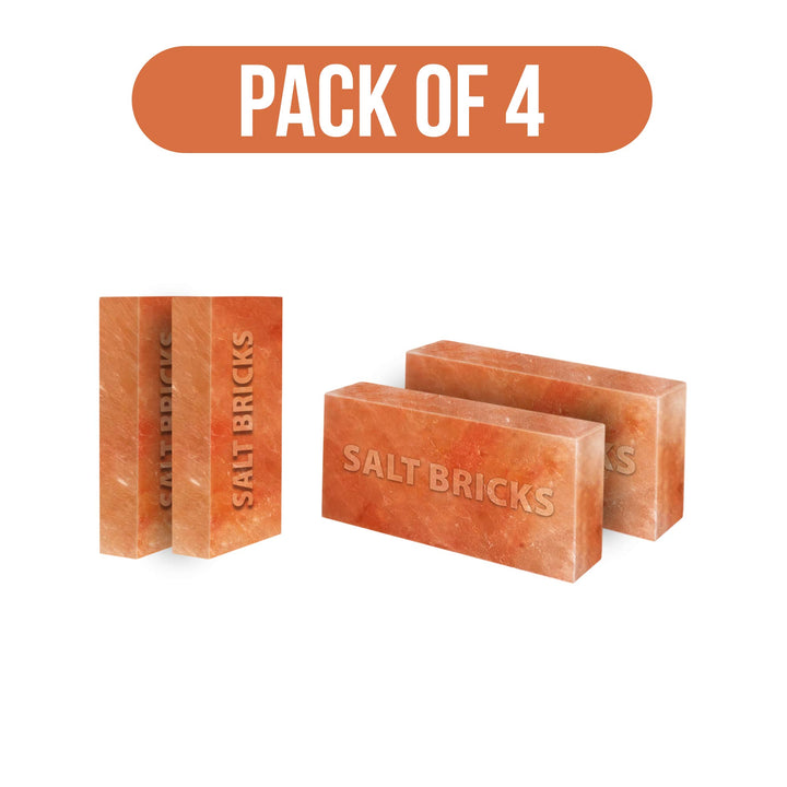 Salt Bricks Pack of 4