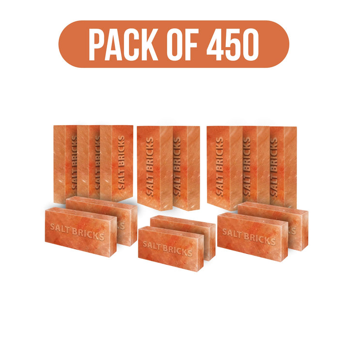 salt bricks pack of 450