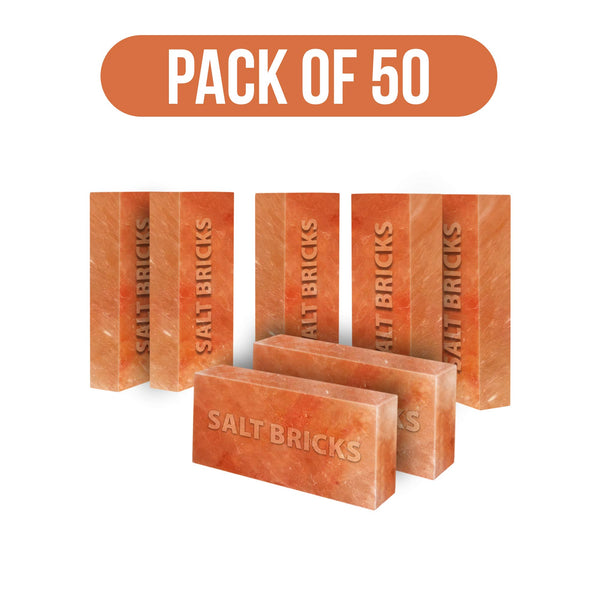 Salt Bricks Pack of 50