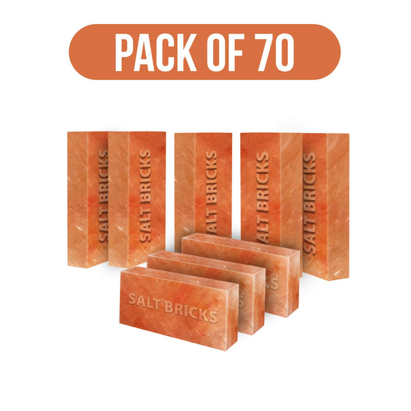 salt bricks pack of 70