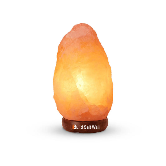 Himalayan Rock Salt Lamp