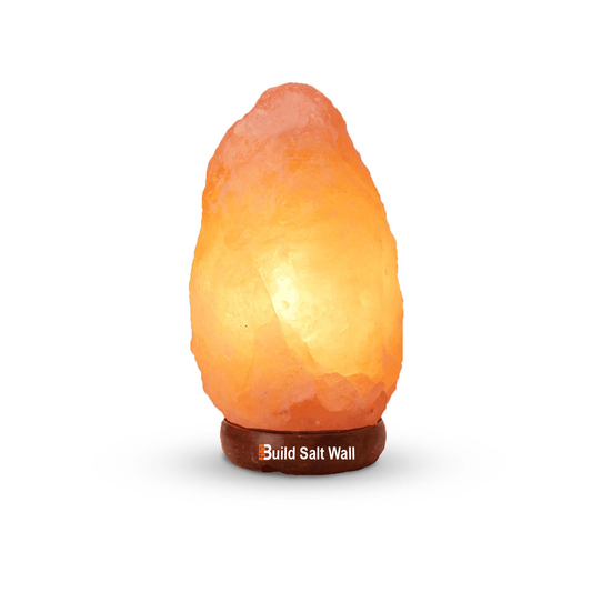 Himalayan Rock Salt Lamp
