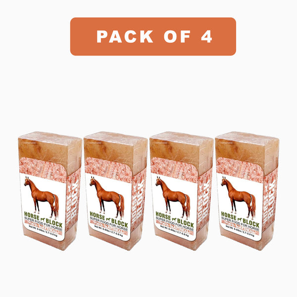 salt lick block pack of 4