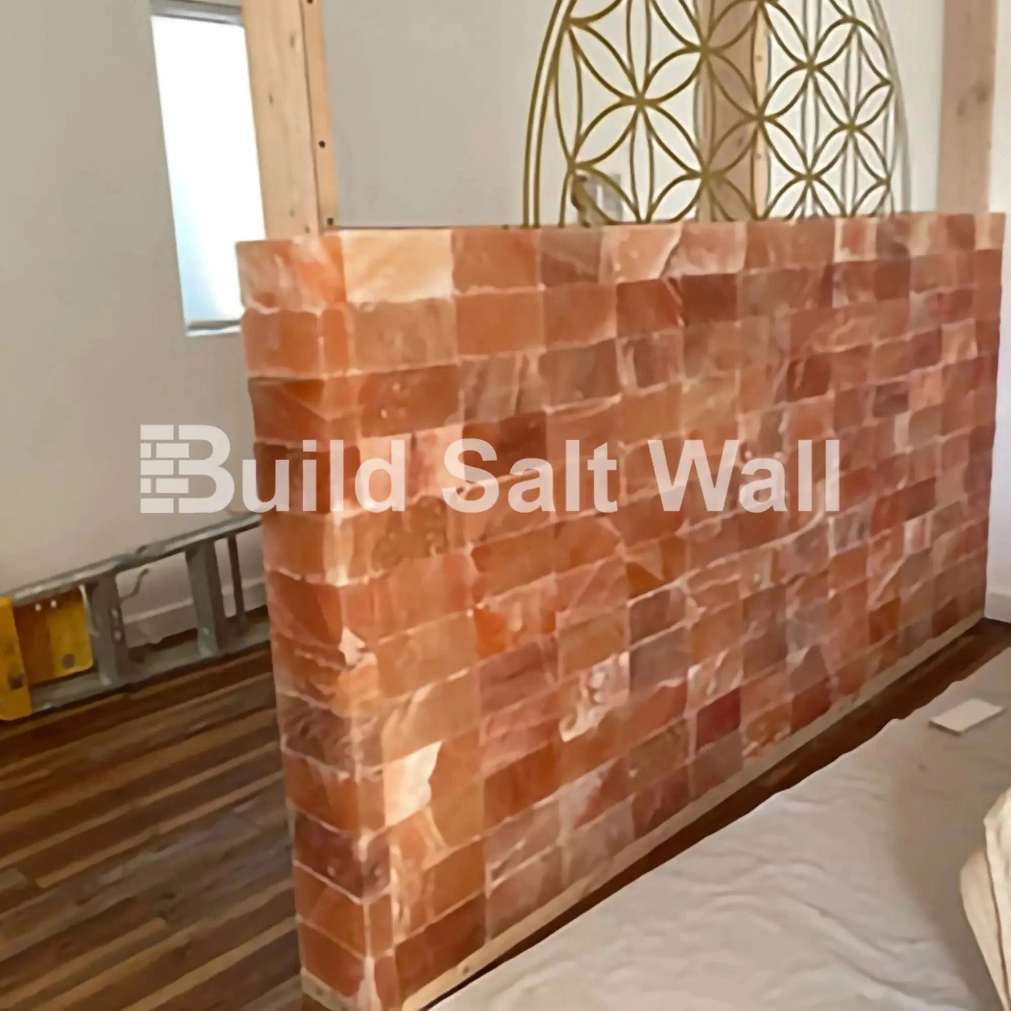 Build Salt Wall