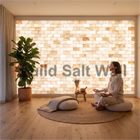 Woman Meditating in Wellness Studio in Front of Illuminated Himalayan Salt Brick Wall