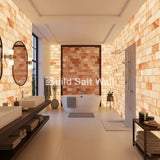 Build 2 sq. ft. Salt Wall (10 Himalayan Salt Tiles 8" x 4" x 1" With 1 Salt Adhesives)