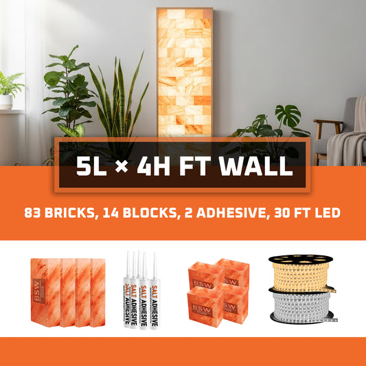 Himalayan Salt Bricks Wall Pack  (5L × 4H 