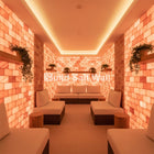 Salt wall room