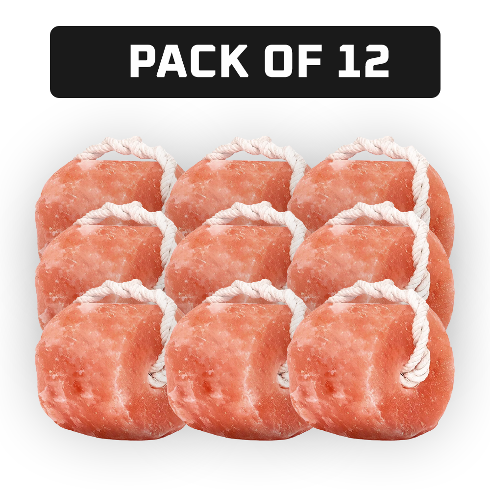 salt lick block